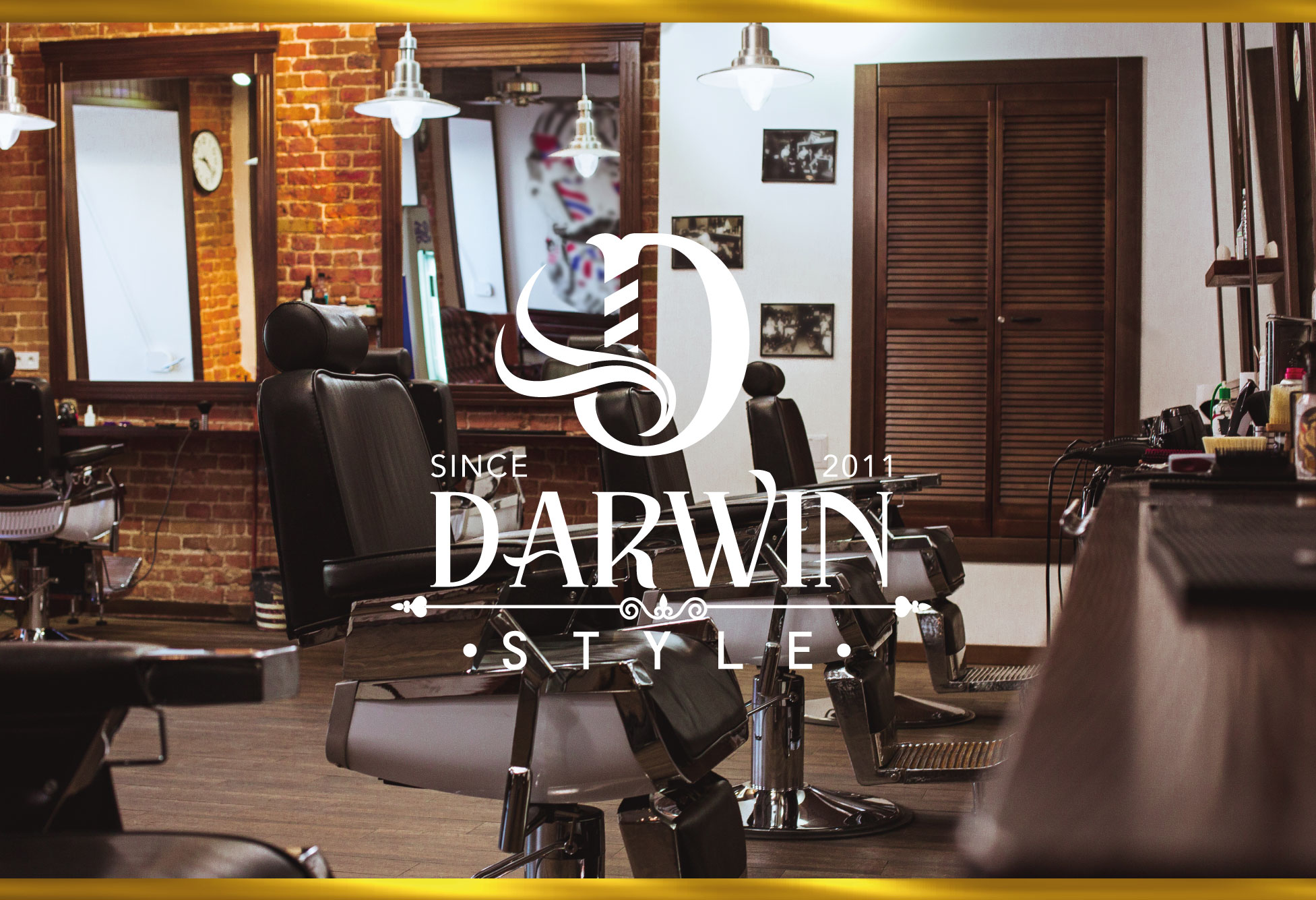 DarwinStyle 1